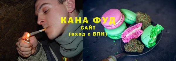 дмт Богородск