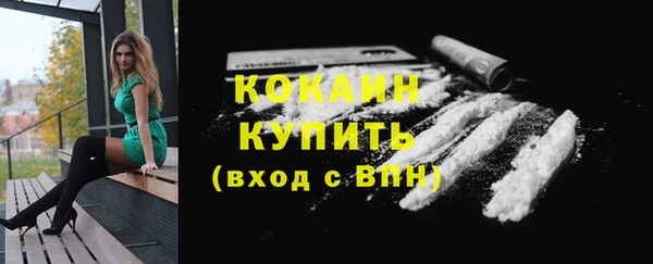 амф Богородицк