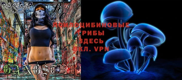 дмт Богородск
