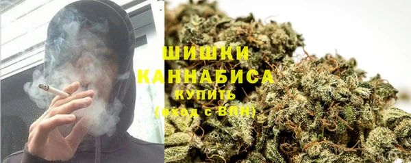 амф Богородицк