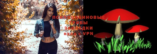 дмт Богородск