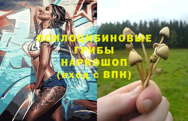амф Богородицк